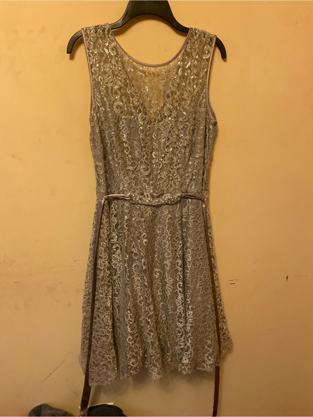 Betsy Adam Shiny Silver Lace Sleeveless Dress with Belt, 14